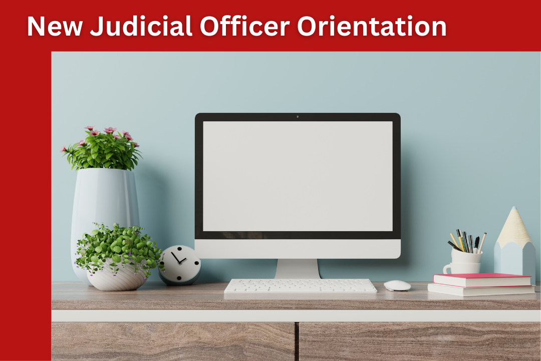 JUDICIALOFFICERS_POs&DV | in_courts